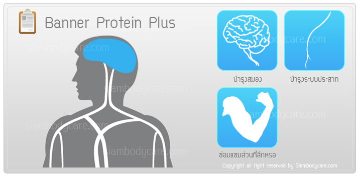 review banner plus