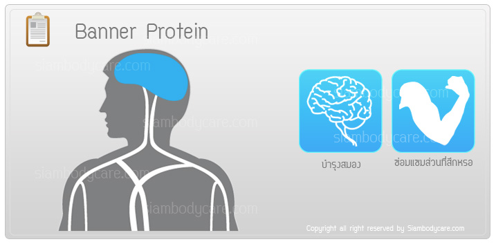 banner protein review