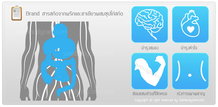review brand พริกและชาเขียว