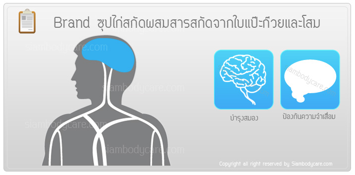 review brand ginseng