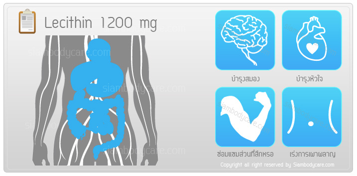 Lecithin 1200 review