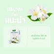 Glean Jasmine Flower Tea บรรจุ 10 ซอง