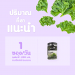 Greenline Organic Kale Powder บรรจุ 10 ซอง