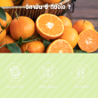 7 Days Acerola 1000 Plus Vitamin C บรรจุ 7 เม็ดฟู่