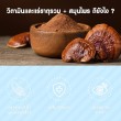 Blackmores Multivitamin Nutri 50+ บรรจุ 30 เม็ด