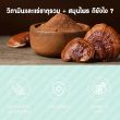Blackmores Multivitamin Nutri 50+ บรรจุ 60 เม็ด