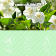 Glean Jasmine Flower Tea บรรจุ 10 ซอง