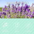 Glean Lavender Flower Tea บรรจุ 10 ซอง