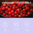 Gleanline Acerola Cherry Plus Vit C บรรจุ 30 แคปซูล