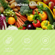 Gleanline Multi Veggie บรรจุ 30 แคปซูล