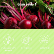 Greenline Organic Beetroot Powder บรรจุ 10 ซอง