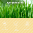 Greenline Organic Wheat Grass Powder บรรจุ 10 ซอง