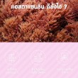 Mega We Care Astax 4 mg บรรจุ 30 แคปซูล