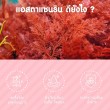 Mega We Care Astax 6 mg บรรจุ 30 แคปซูล