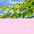 Mega We Care Multilives บรรจุ 30 แคปซูล