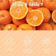 Mega We Care NAT-C Ester บรรจุ 30 ซอง