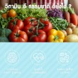 Mega We Care Natural Vitamin E 100 บรรจุ 100 แคปซูล