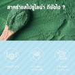 Mega We Care Spirulina 500 mg บรรจุ 100 แคปซูล