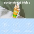 Pasavee Alum Deodorant Spray Classic บรรจุ 75 ml