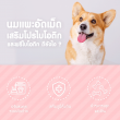 Pawly Milky Pro Liver Flavour บรรจุ 50 เม็ด