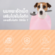 Pawly Milky Pro Pandan Flavour บรรจุ 50 เม็ด