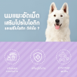 Pawly Milky Pro Pumpkin Flavour บรรจุ 50 เม็ด