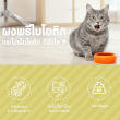 Pawly Pro Plus Cat Synbiotic บรรจุ 12 ซอง