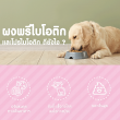 Pawly Pro Plus Dog Synbiotic บรรจุ 12 ซอง