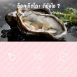  ROKETTO+ บรรจุ 10 แคปซูล