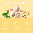 Lifeplus Vistas Garlic Extract บรรจุ 30 แคปซูล 