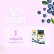 Springmate Bilberry Extract 80 mg บรรจุ 60 แคปซูล