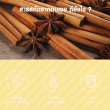 Springmate Cinnamon 500 mg บรรจุ 60 แคปซูล