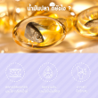 Springmate Fish Oil 1000 mg บรรจุ 30 แคปซูลนิ่ม