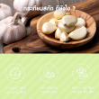 Springmate Garlic 10 mg บรรจุ 90 แคปซูลนิ่ม