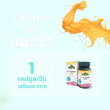 Springmate L-Arginine 500 mg บรรจุ 30 แคปซูล