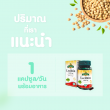 Springmate Lecithin 1200 mg บรรจุ 60 แคปซูลนิ่ม