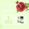 Springmate Pomegranate Extract 250 mg บรรจุ 30 แคปซูลนิ่ม