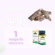 Springmate S-Maritime Pine Bark Extract 30 mg บรรจุ 30 แคปซูล