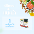 Springmate Salmon Oil บรรจุ 60 แคปซูลนิ่ม