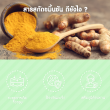 Springmate Turmeric 450 mg Plus Turmeric Extract 50 mg บรรจุ 30 แคปซูล