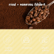 Surapol Coffee Plus Collagen บรรจุ 15 ซอง