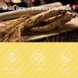 VISTRA B-Complex Plus Ginseng บรรจุ 30 แคปซูล