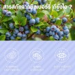 VISTRA Bilberry Extract Plus Lutein Beta-Carotene บรรจุ 30 แคปซูล