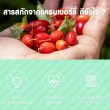 VISTRA Cranberry 600 บรรจุ 30 แคปซูล