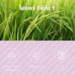 VISTRA DT Daily Fiber 7000 บรรจุ 10 ซอง