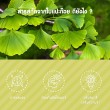 VISTRA Ginkgo 120 บรรจุ 30 เม็ด
