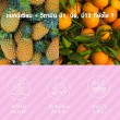 VISTRA Marine Collagen TriPeptide 10000 mg Orange Pineapple Flavour บรรจุ 10 ซอง