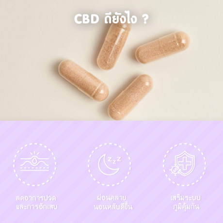 TheraBloom CBD Gummies: Are the Health Claims Backed by Science?