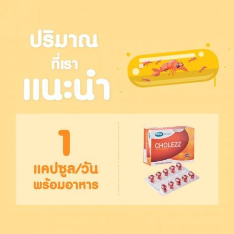 Mega We Care Cholezz บรรจุ 30 แคปซูล