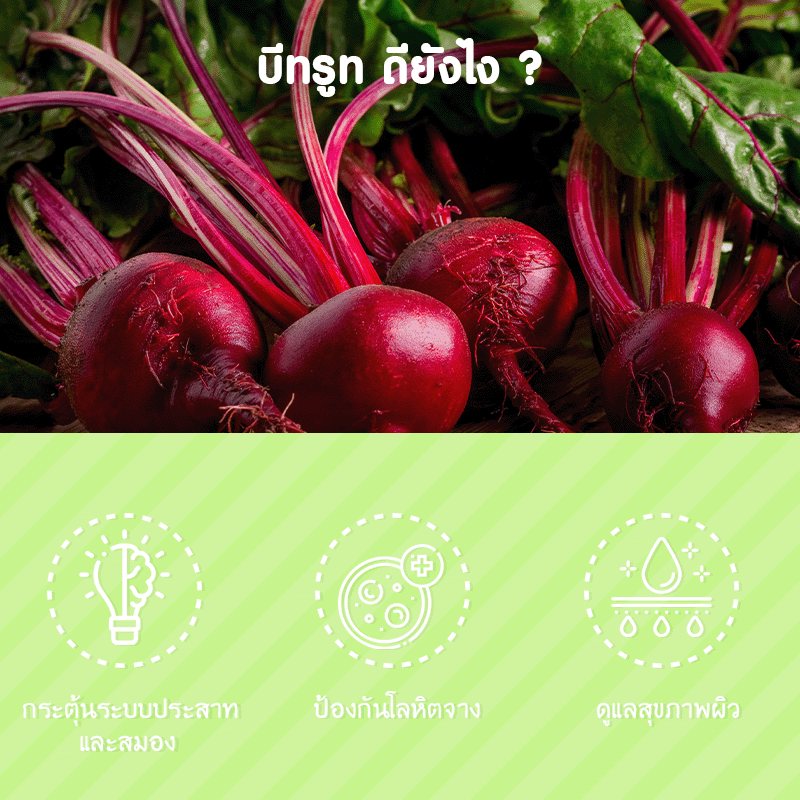 Greenline Organic Beetroot Powder บรรจุ 10 ซอง